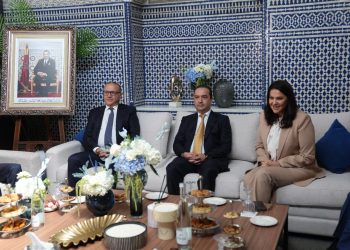 El Mansouri Begins Consultation with Parties to Form Government Coalition