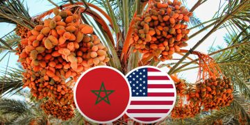 Moroccan Ambassador- EU Parliament Resolution Contains No Condemnation or Injunction Against Morocco
