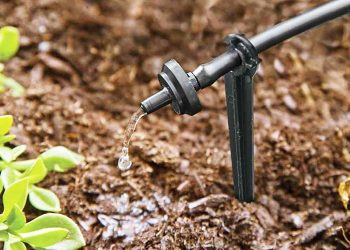 Drip irrigation system delivering water directly to crops.