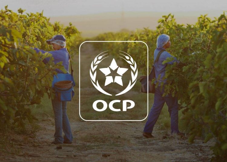 OCP Group, a global leader in phosphate-based fertilizers, continues to expand its financing capacity to support its long-term investment strategy.