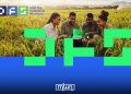 UM6P-Backed Digital Farming School Opens Applications for First Cohort in Côte d’Ivoire