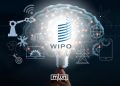 A graphic about the World Intellectual Property Organization (WIPO), using a lightbulb, technology icons, robotics, and digital imagery to represent innovation, intellectual property, and technological development.