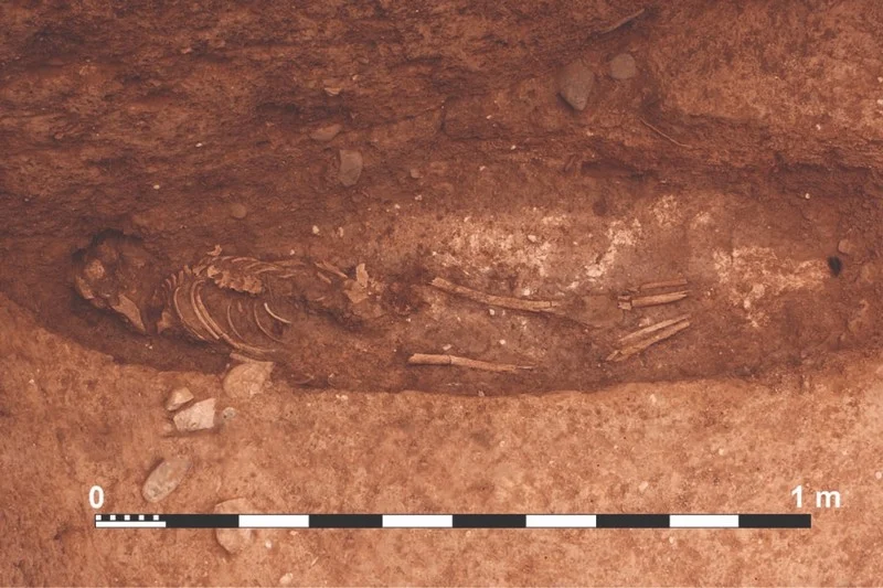 Moroccan Archeologists Uncover Africa’s Oldest Known Defensive System