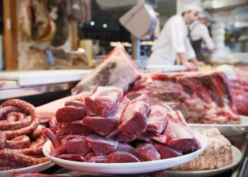 Morocco Expects New Frozen Beef Imports from Brazil