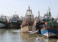 safi fishermen missing