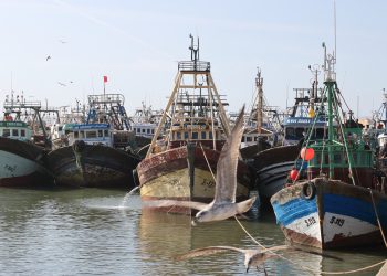 safi fishermen missing