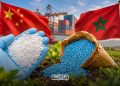 China Launches Nanjing-North Africa Direct Ammonia Route With 30,000 Tons Shipment to Morocco