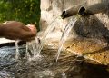 A person cups their hands beneath flowing water from a traditional stone fountain, with two metal spouts pouring into a basin.