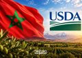 An illustration featuring Morocco’s national flag and the US Department of Agriculture (USDA) logo. (Designed by MWN team)