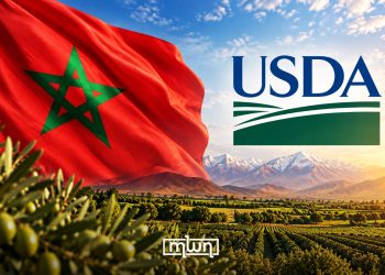 An illustration featuring Morocco’s national flag and the US Department of Agriculture (USDA) logo. (Designed by MWN team)