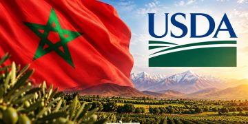 An illustration featuring Morocco’s national flag and the US Department of Agriculture (USDA) logo. (Designed by MWN team)