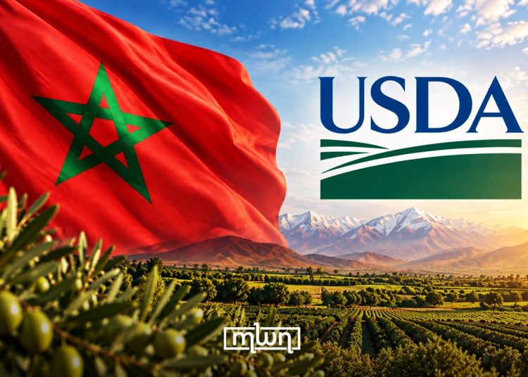 An illustration featuring Morocco’s national flag and the US Department of Agriculture (USDA) logo. (Designed by MWN team)