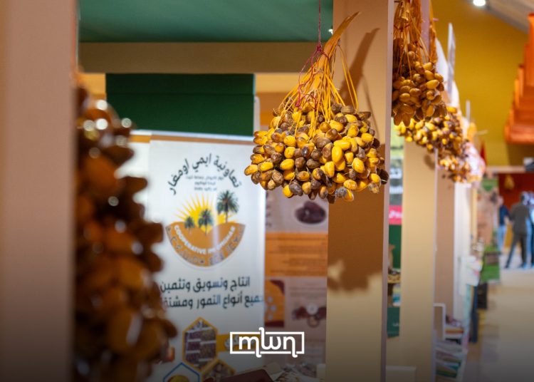 A photo of date clusters displayed at an exhibition stand during Morocco’s International Date Fair, by MWN Photgraphy Team.