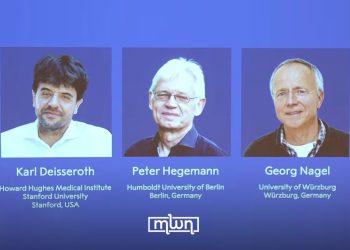 Three Scientists Win 2026 Nobel Medicine Prize for Neuroscience Research