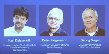 Three Scientists Win 2026 Nobel Medicine Prize for Neuroscience Research