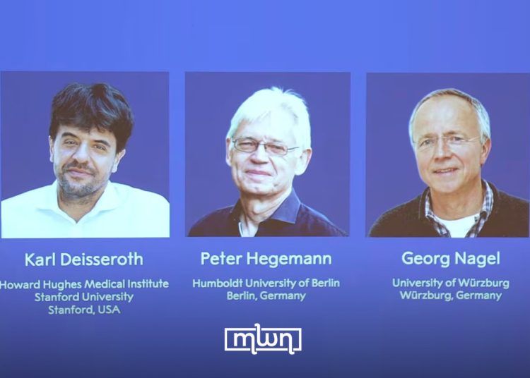 Three Scientists Win 2026 Nobel Medicine Prize for Neuroscience Research