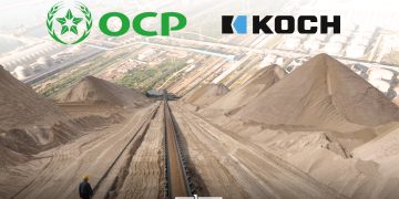 A graphic featuring OCP Group and Koch against the backdrop of a phosphate mining and processing site, by MWN Design Team.