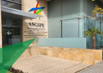 National Agency for the Strategic Management of State Participations and the Monitoring of the Performance of Public Establishments and Enterprises (ANGSPE)