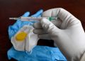 France Reports First Human Case of Shamonda Virus in Patient Who Died